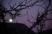 Blue Monday Moon risees above Mynydd Cilgwyn